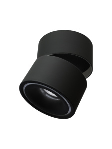 Светодиодный поворотный светильник DRUM  12W R-100-WW-BLACK-220-IP44