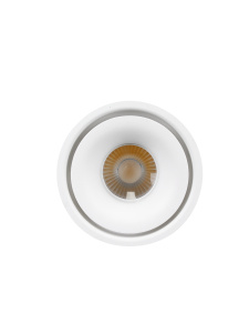 Светодиодный поворотный светильник DRUM 12W R-100-WW-WHITE-220-IP44
