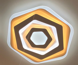 1005/530 Потолочный светильник LED