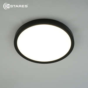 Cветодиодный светильник ROUND 28W R-300x25-BLACK/WHITE-220-IP44, 4000K