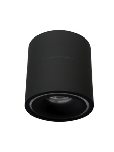 Светодиодный поворотный светильник DRUM  12W R-100-WW-BLACK-220-IP44