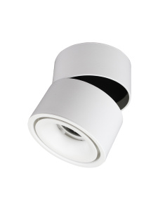 Светодиодный поворотный светильник DRUM 12W R-100-WW-WHITE-220-IP44