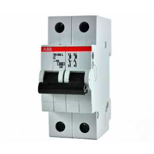 ABB 2CDS242001R0634 Автомат.выкл-ль 2-полюсной SH202L C63