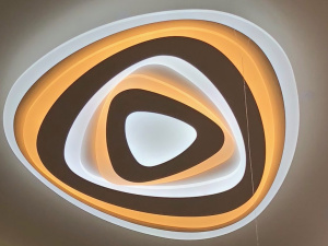 1013/520 Потолочный светильник LED