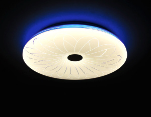 F80 BL 104W D540 ORBITAL многофункциональный (ПДУ)