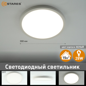 Cветодиодный светильник ROUND 28W R-300x25-WHITE/WHITE-220-IP44, 4000K