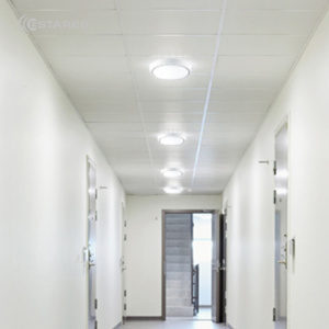 Cветодиодный накладной светильник DLR 15W R-180-CW-WHITE/WHITE-220-IP44